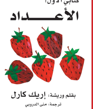 الأعداد - سلسلة كتابي الأول - ورق مقوى